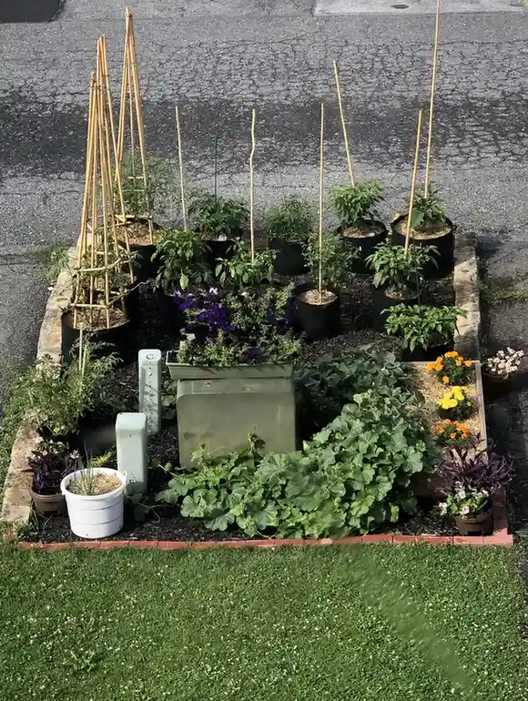 15 Mini Backyard Food Forest Garden Ideas Perfect for Small Spaces smallhometours.com 42