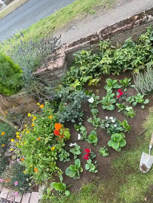 15 Mini Backyard Food Forest Garden Ideas Perfect for Small Spaces smallhometours.com 43