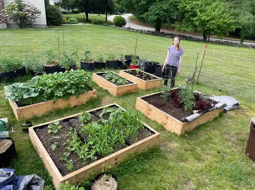Woman standing in a suburban backyard with multiple wooden raised garden beds filled with vegetables, tomato cages, and grow bags arranged on a grassy lawn.