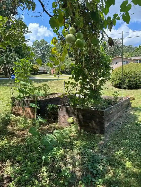 15 Mini Backyard Food Forest Garden Ideas Perfect for Small Spaces smallhometours.com 6