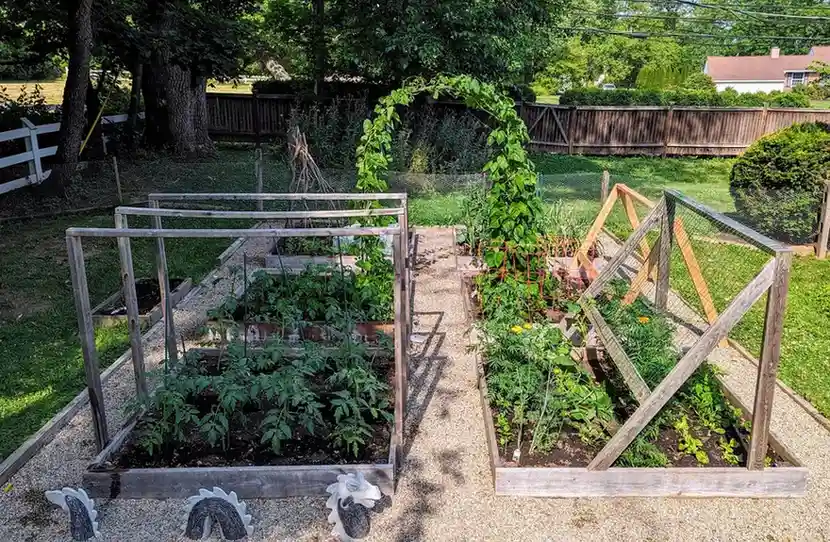 15 Mini Backyard Food Forest Garden Ideas Perfect for Small Spaces smallhometours.com 7