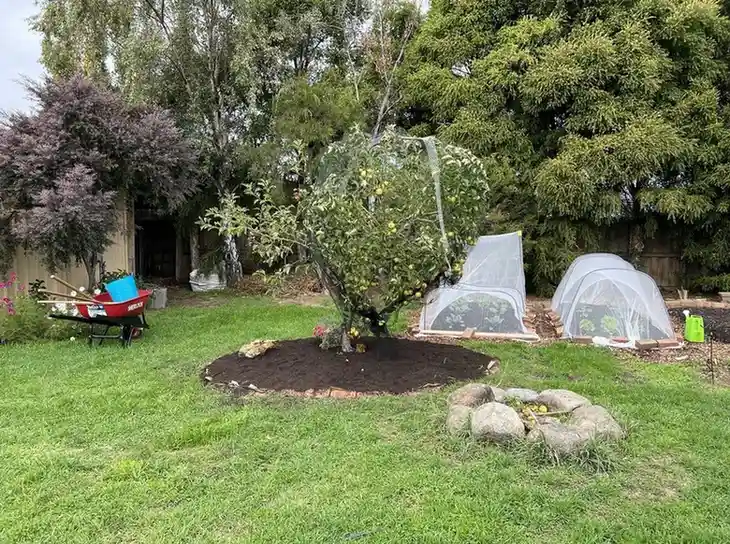 Food Forest Garden Permaculture Design Ideas That Actually Work in Real Yards smallhometours.com