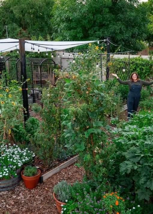 Food Forest Garden Permaculture Design Ideas That Actually Work in Real Yards smallhometours.com 1