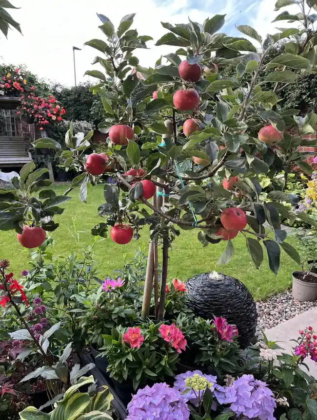 Food Forest Garden Permaculture Design Ideas That Actually Work in Real Yards smallhometours.com 1