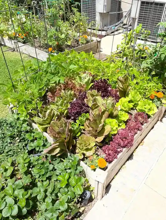 Food Forest Garden Permaculture Design Ideas That Actually Work in Real Yards smallhometours.com 10