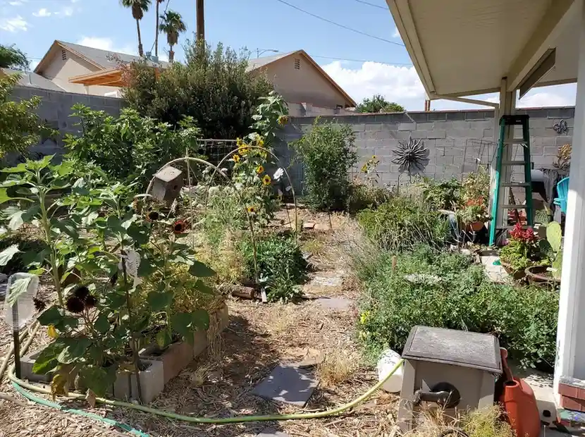 Food Forest Garden Permaculture Design Ideas That Actually Work in Real Yards smallhometours.com 15