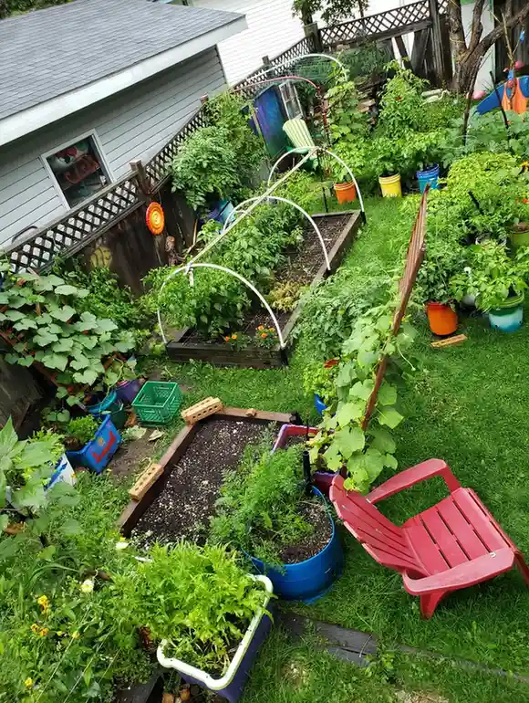 Food Forest Garden Permaculture Design Ideas That Actually Work in Real Yards smallhometours.com 19