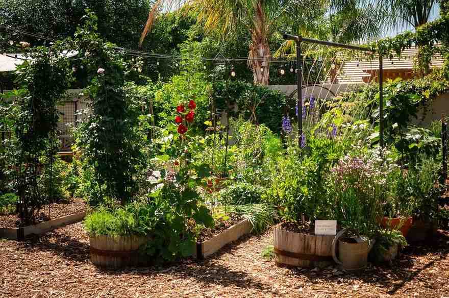 Food Forest Garden Permaculture Design Ideas That Actually Work in Real Yards smallhometours.com 2