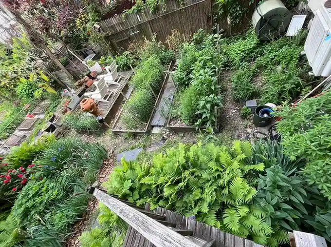 Food Forest Garden Permaculture Design Ideas That Actually Work in Real Yards smallhometours.com 21