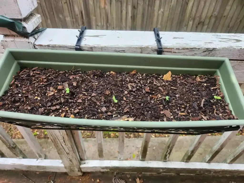 Food Forest Garden Permaculture Design Ideas That Actually Work in Real Yards smallhometours.com 22