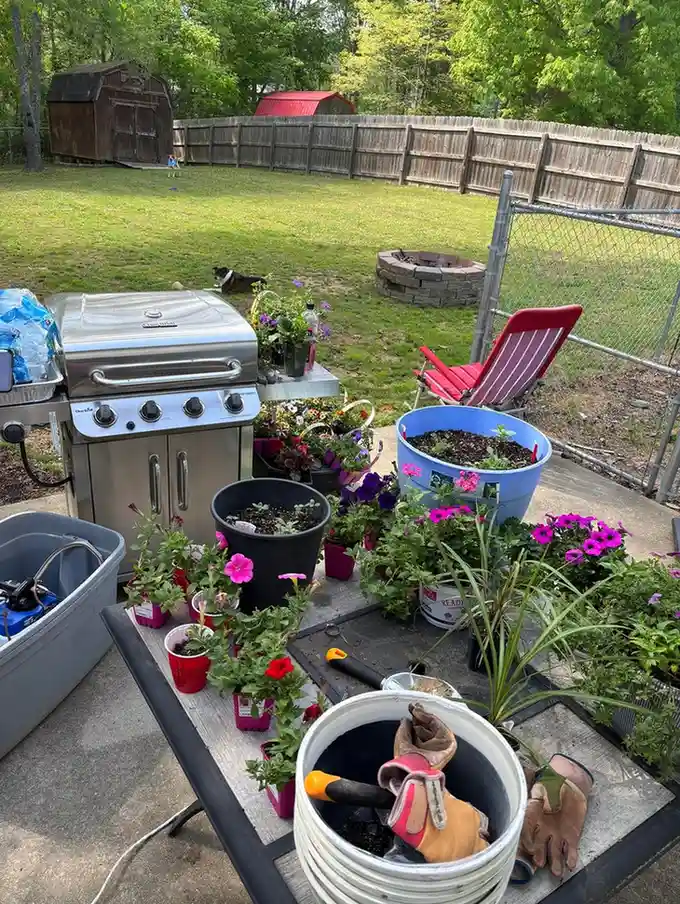 Food Forest Garden Permaculture Design Ideas That Actually Work in Real Yards smallhometours.com 23