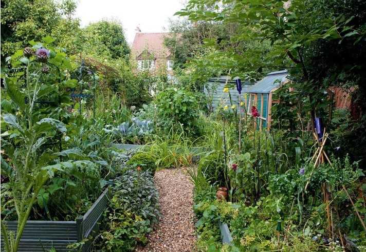 Food Forest Garden Permaculture Design Ideas That Actually Work in Real Yards smallhometours.com 4