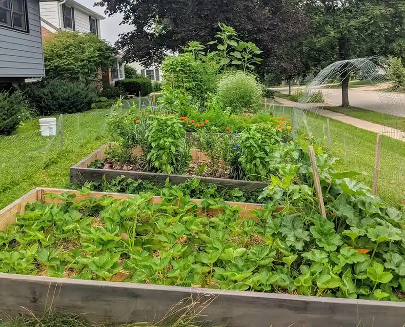 Food Forest Garden Permaculture Design Ideas That Actually Work in Real Yards smallhometours.com 4