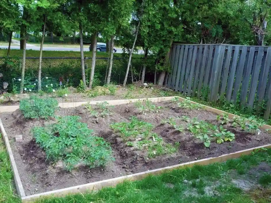 Food Forest Garden Permaculture Design Ideas That Actually Work in Real Yards smallhometours.com 5