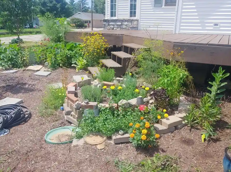 Food Forest Garden Permaculture Design Ideas That Actually Work in Real Yards smallhometours.com 7