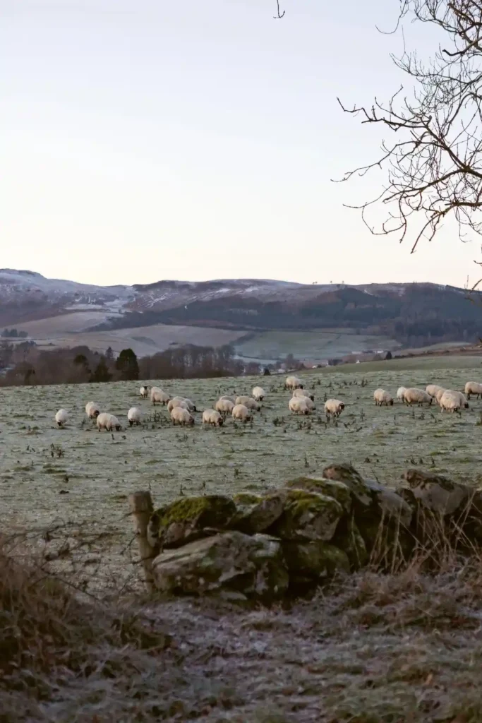 Scottish Highlands Home Decor and House Interior Ideas smallhometours.com 9