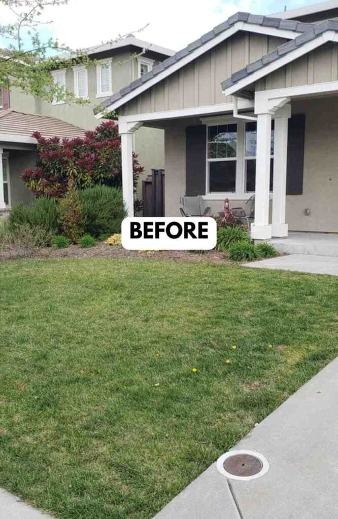 25 Frontyard Makeover Ideas for a Gorgeous Outdoor Entrance smallhometours.com 33