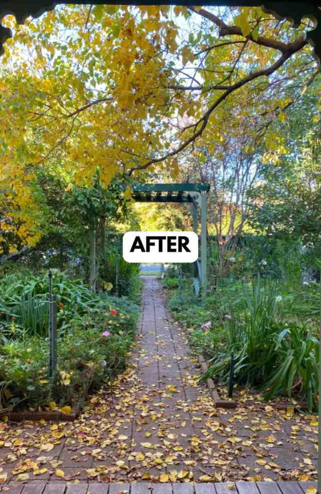 25 Frontyard Makeover Ideas for a Gorgeous Outdoor Entrance smallhometours.com 56