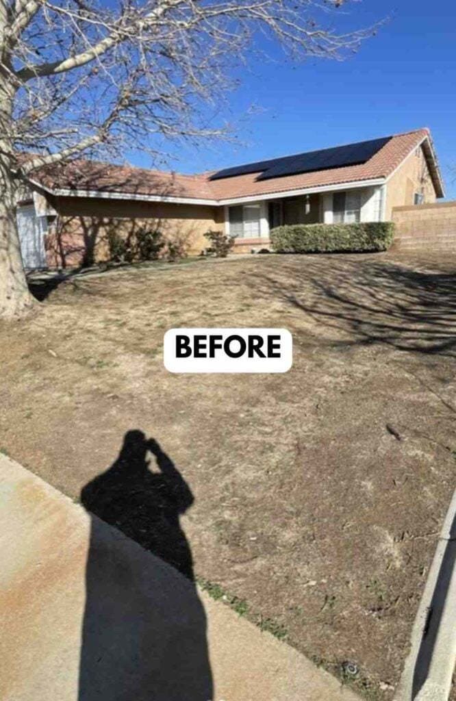 25 Frontyard Makeover Ideas for a Gorgeous Outdoor Entrance smallhometours.com 63