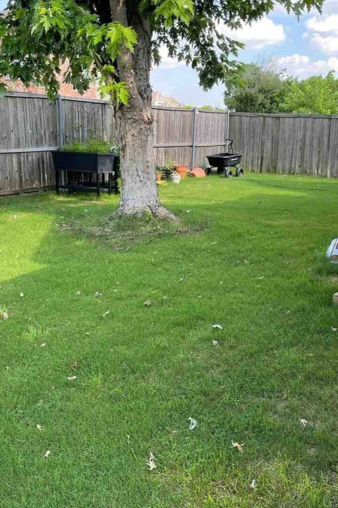 Patio Before and After Backyard Makeover That Completely Transforms Outdoor Living smallhometours.com 6