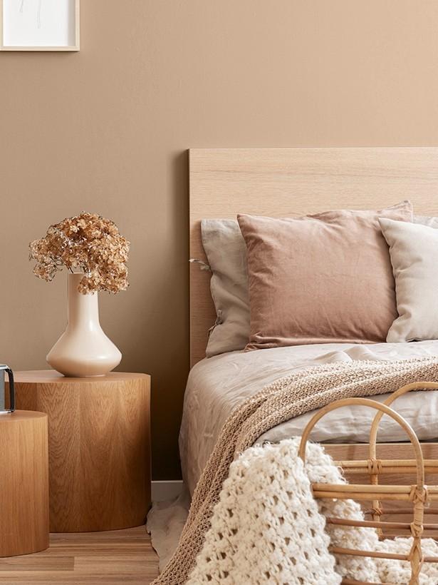 5 Best Earth Tone Paint Colors by Sherwin Williams for a Warm and Cozy Home smallhometours.com 10