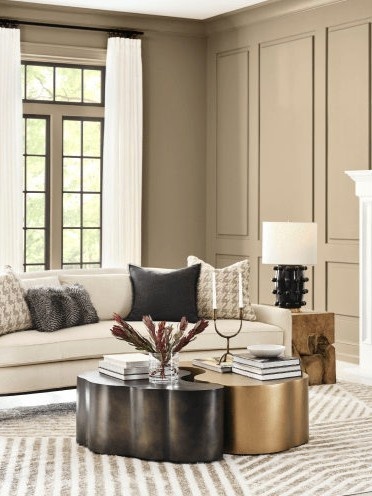 5 Best Earth Tone Paint Colors by Sherwin Williams for a Warm and Cozy Home smallhometours.com 13