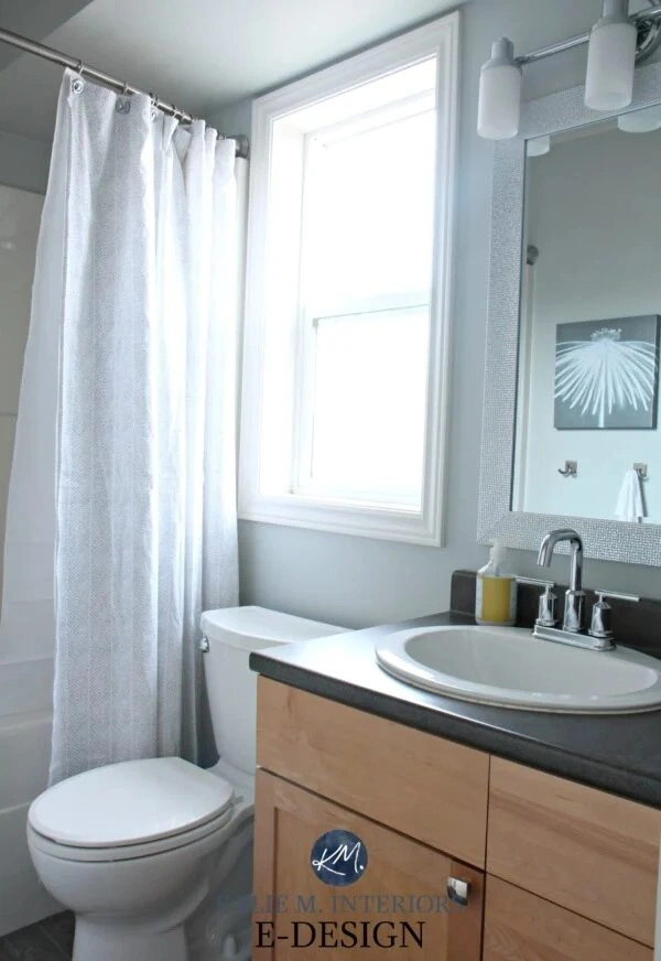5 Best Sherwin Williams Paint Colors for Small Bathroom smallhometours.com 3