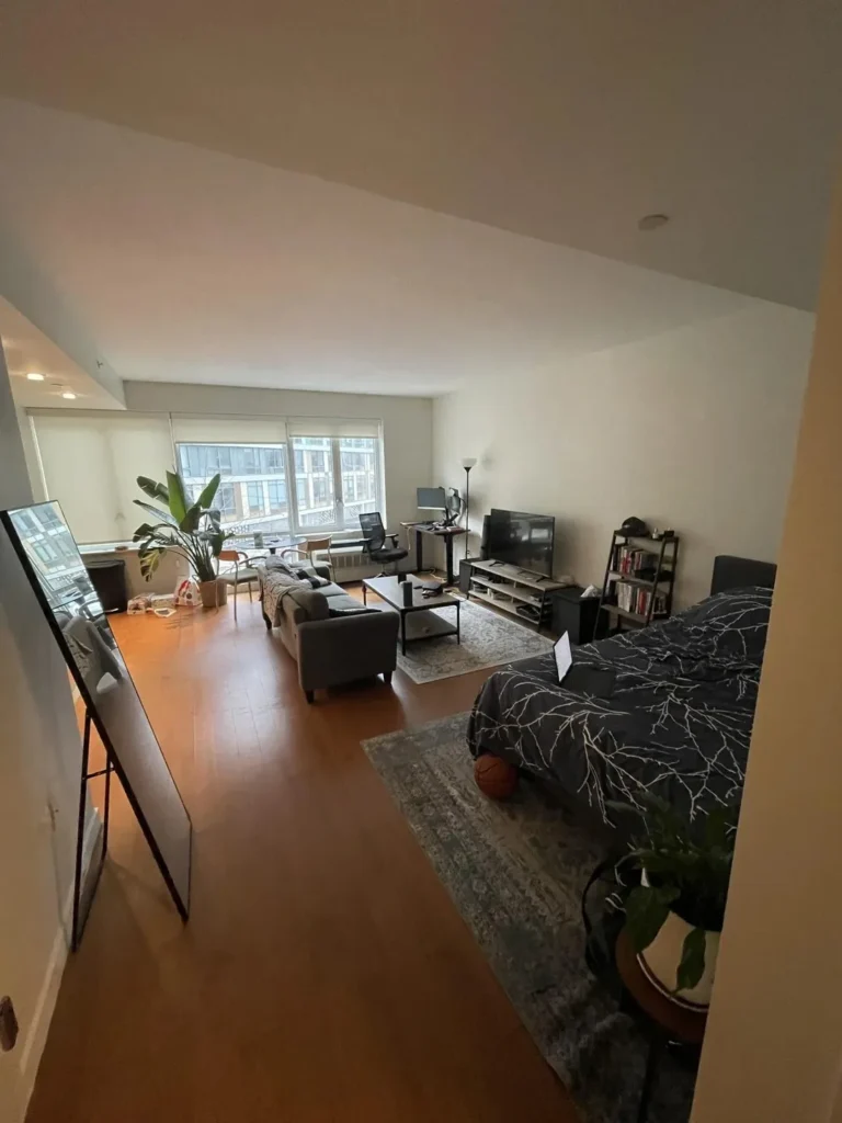 25 Studio Apartment Decorating Ideas for a Cozy and Stylish Home smallhometours.com 10
