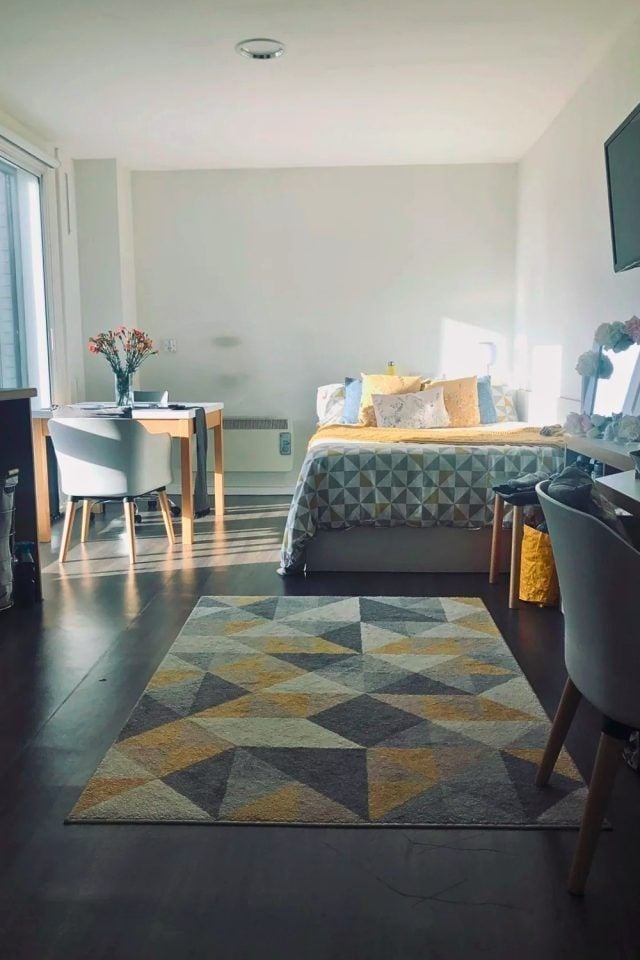 25 Studio Apartment Decorating Ideas for a Cozy and Stylish Home smallhometours.com 3