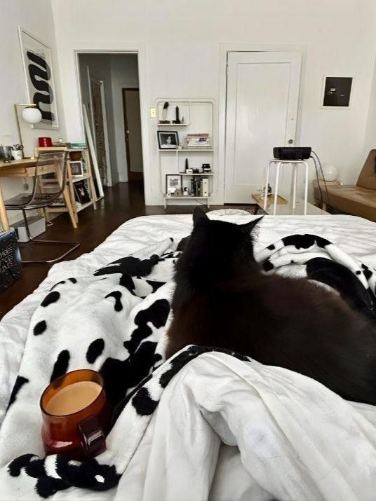 25 Studio Apartment Decorating Ideas for a Cozy and Stylish Home smallhometours.com 6 1
