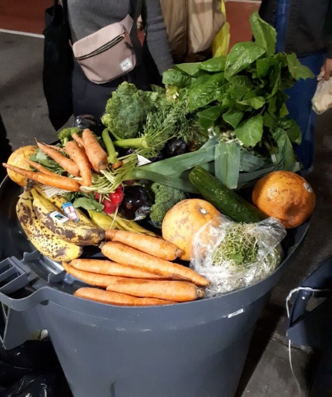 A large gray bin filled with rescued or surplus fresh produce, including carrots, bananas, broccoli, leafy greens, cucumbers, citrus fruit, and sprouts.