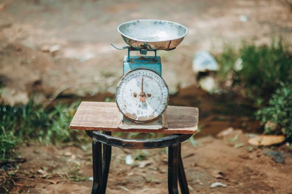 Vintage Kitchen Scale