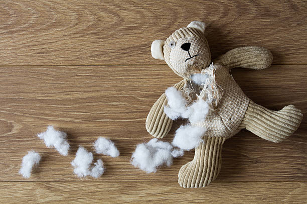 A sad, children's teddy Bear with its stuffing torn and scattered over a wooden floor.