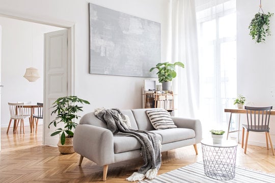 Bright minimalist living room with a light gray sofa, wooden floors, white walls, indoor plants, and large sunlit windows.